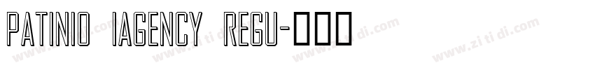 Patinio iAgency Regu字体转换
